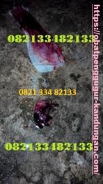 Obat Penggugur Kandungan ® WA.082133482133 Obat Aborsi KALBAR